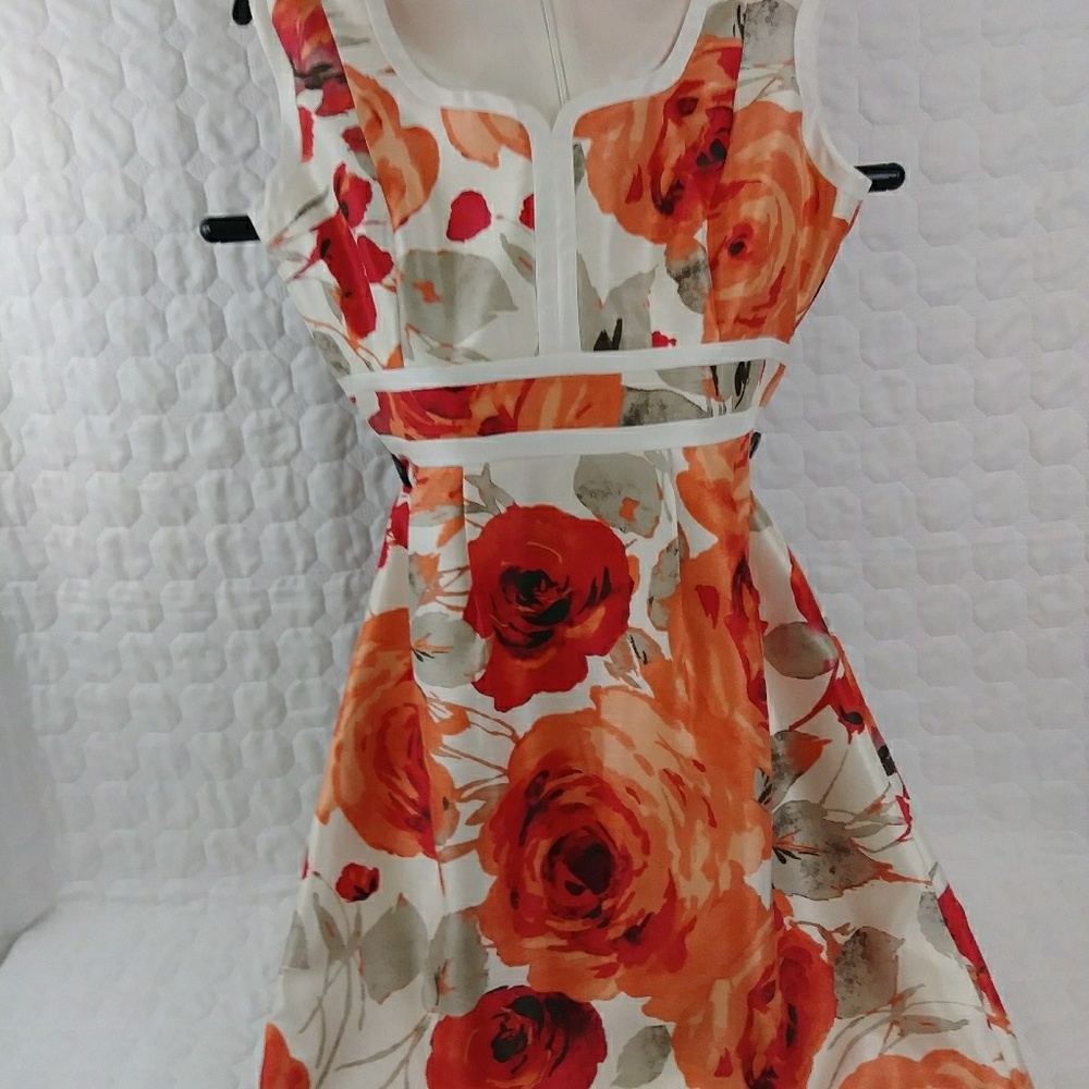 Isabella Demarco Dress SZ 8